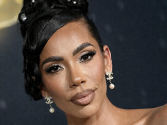 Erica Mena 2026: Evolution, Net Worth, & Family