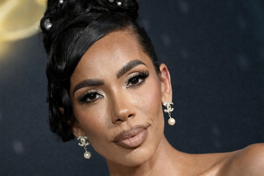 Erica Mena 2026: Evolution, Net Worth, & Family